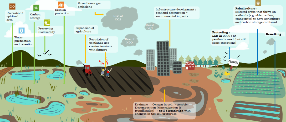 Screenshot of the poster entitled RETHINKING PEATLANDS IN NORWAY