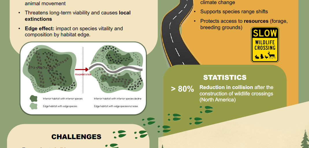 Screenshot of the poster entitled WILDLIFE CROSSINGS: KEEPING NATURE ON THE MOVE