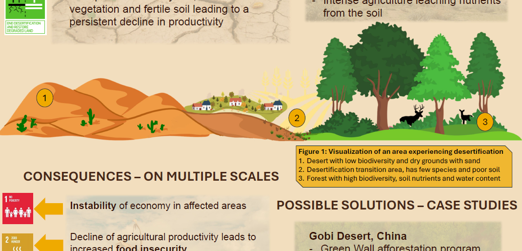 Screenshot of the poster entitled DEAD SOIL, DEAD FUTURE Desertification – The problems and ways of combating it