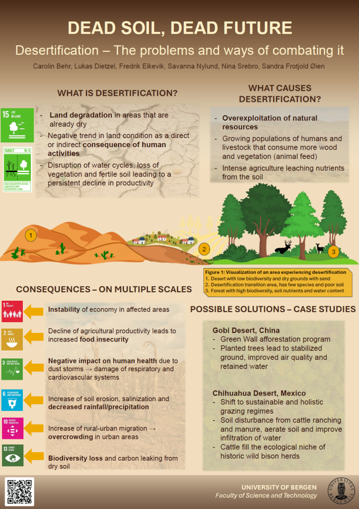 Screenshot of the poster entitled DEAD SOIL, DEAD FUTURE Desertification – The problems and ways of combating it