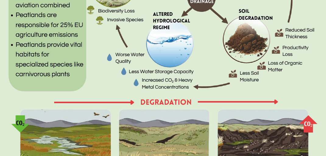 Screenshot of the poster entitled Restoration of peatland - From source to sink