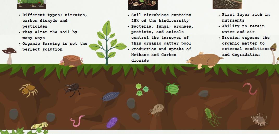 Screenshot of the poster entitled Healthy soil, healthy future - the role of conservational agriculture