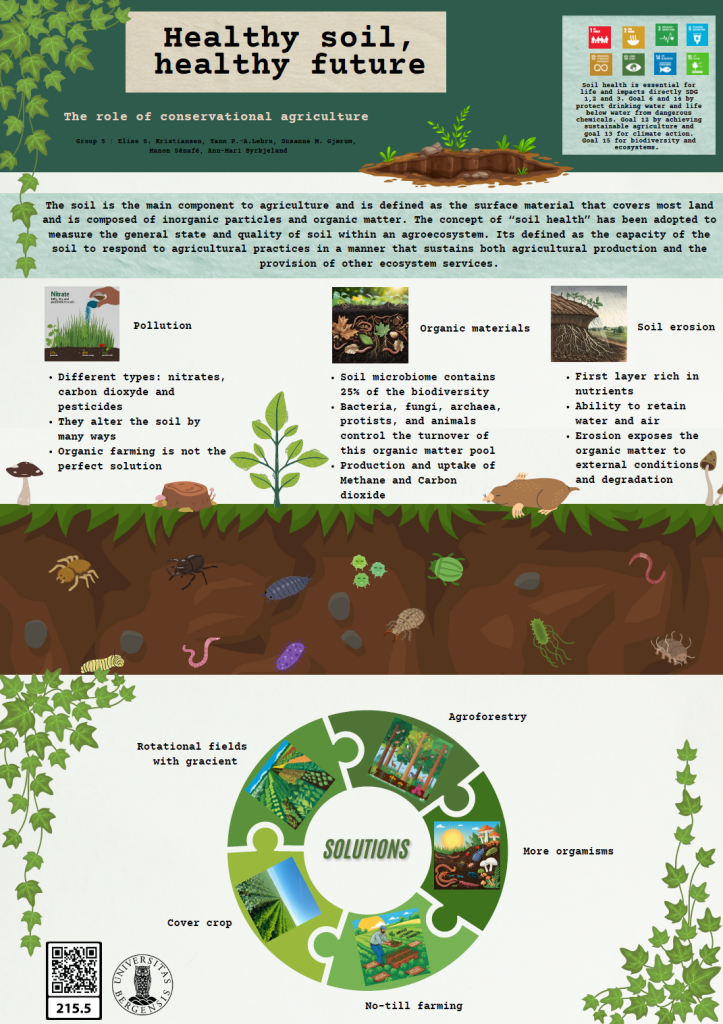 Screenshot of the poster entitled Healthy soil, healthy future - the role of conservational agriculture