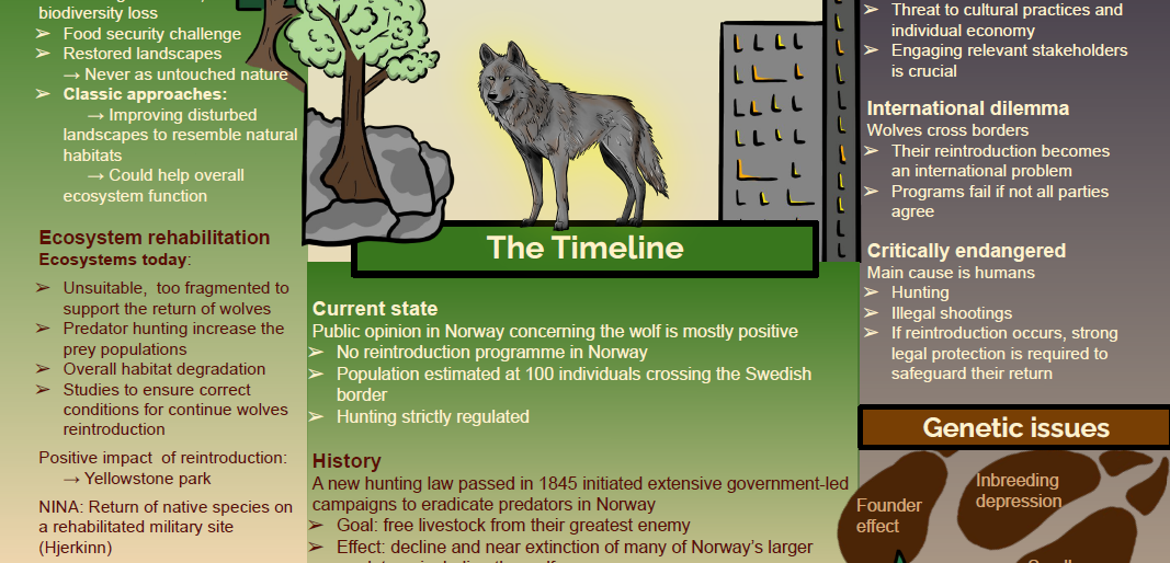 Screenshot of the poster entitled The howl of nature The dilemmas of wolf reintroduction in Norway