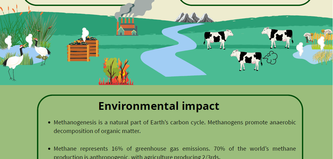 Screenshot of the poster entitled The impact of methanogens - methane producing archaea