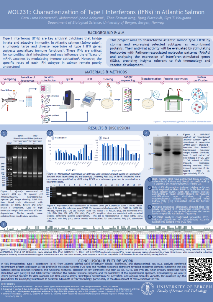 Screenshot of the poster entitled Characterization of Type I Interferons (IFNs) in Atlantic Salmon