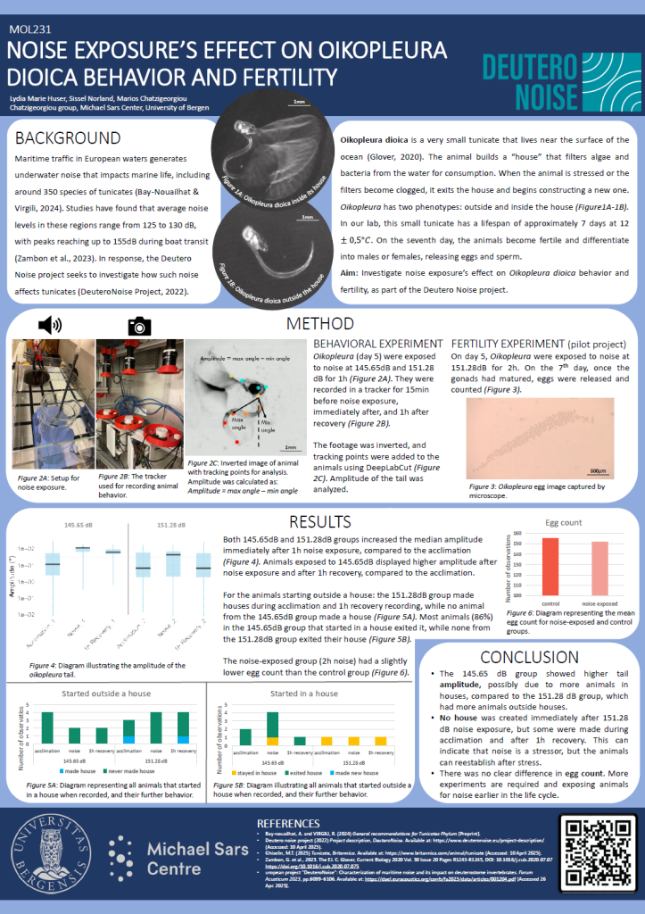 Screenshot of the poster entitled NOISE EXPOSURE’S EFFECT ON OIKOPLEURA DIOICA BEHAVIOR AND FERTILITY