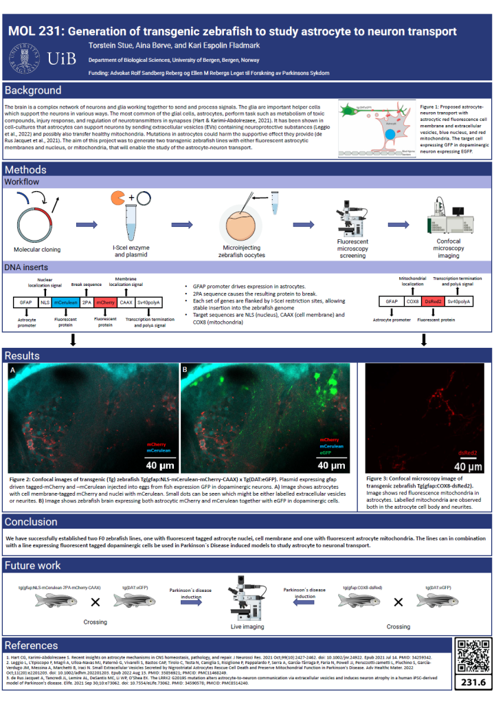 Screenshot of the poster entitled Generation of transgenic zebrafish to study astrocyte to neuron transport