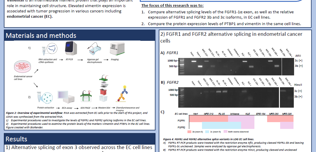 Screenshot of the poster entitled Alternative Splicing of Fibroblast Growth Factor Receptors 1 and 2 in Endometrial Cancer Cell Lines: Any correlation with epithelial mesenchymal transition?
