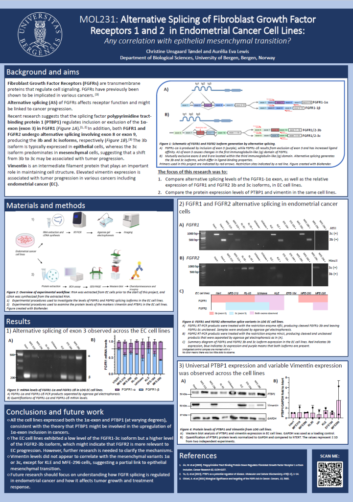 Screenshot of the poster entitled Alternative Splicing of Fibroblast Growth Factor Receptors 1 and 2 in Endometrial Cancer Cell Lines: Any correlation with epithelial mesenchymal transition?