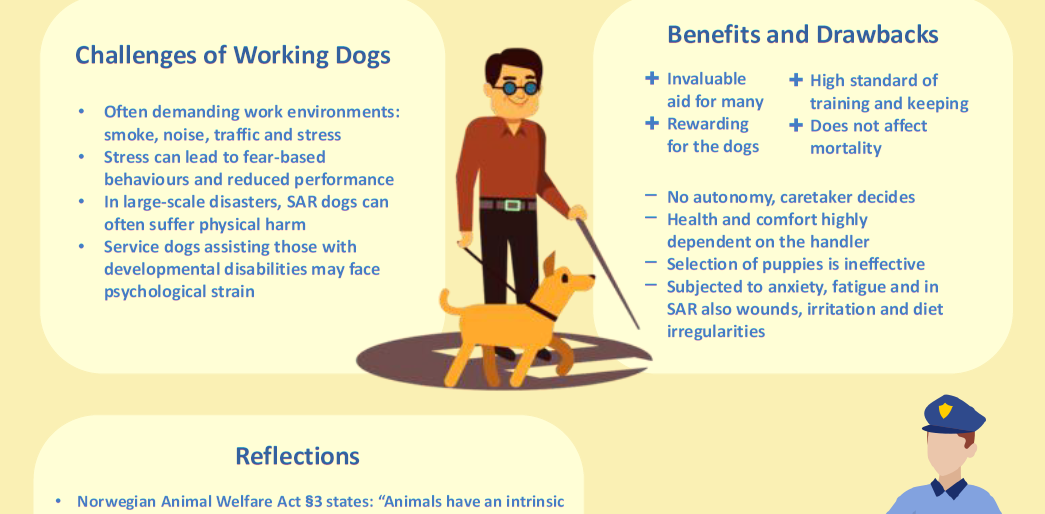 screenshot of the poster entitled WorkingDogs: Used, Valued, Vulnerable