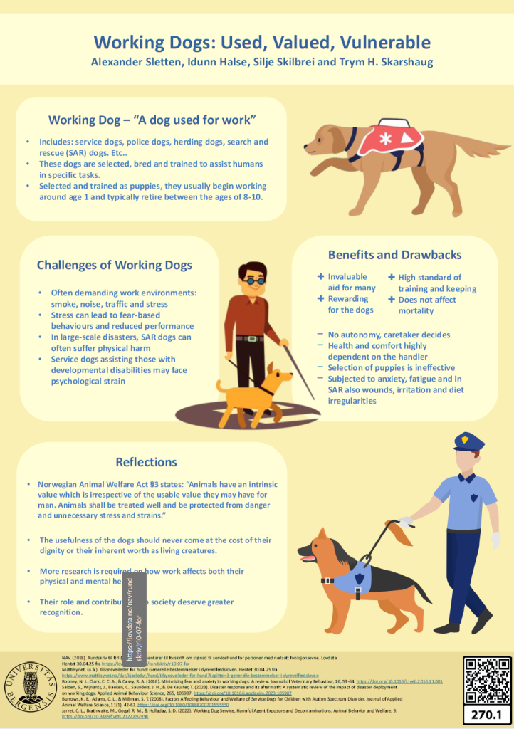 screenshot of the poster entitled WorkingDogs: Used, Valued, Vulnerable