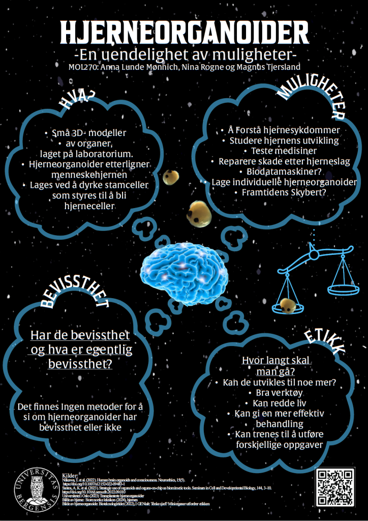 screenshot of the poster entitled HJERNEORGANOIDER
-En uendelighet av muligheter-