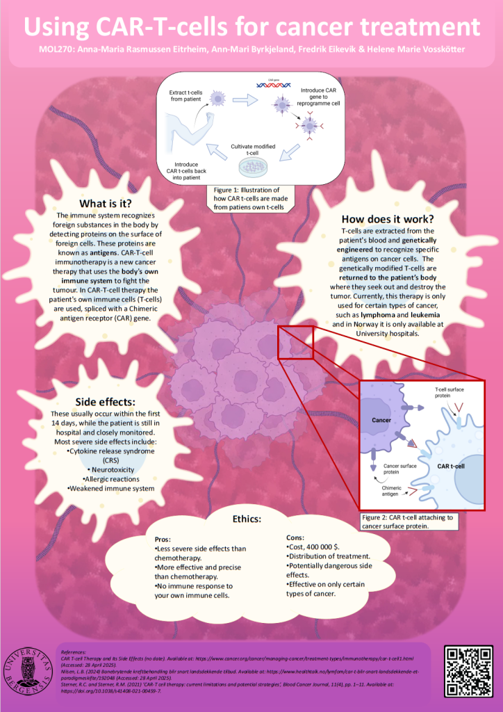 screenshot of the poster entitled Using CAR-T-cells for cancer treatment