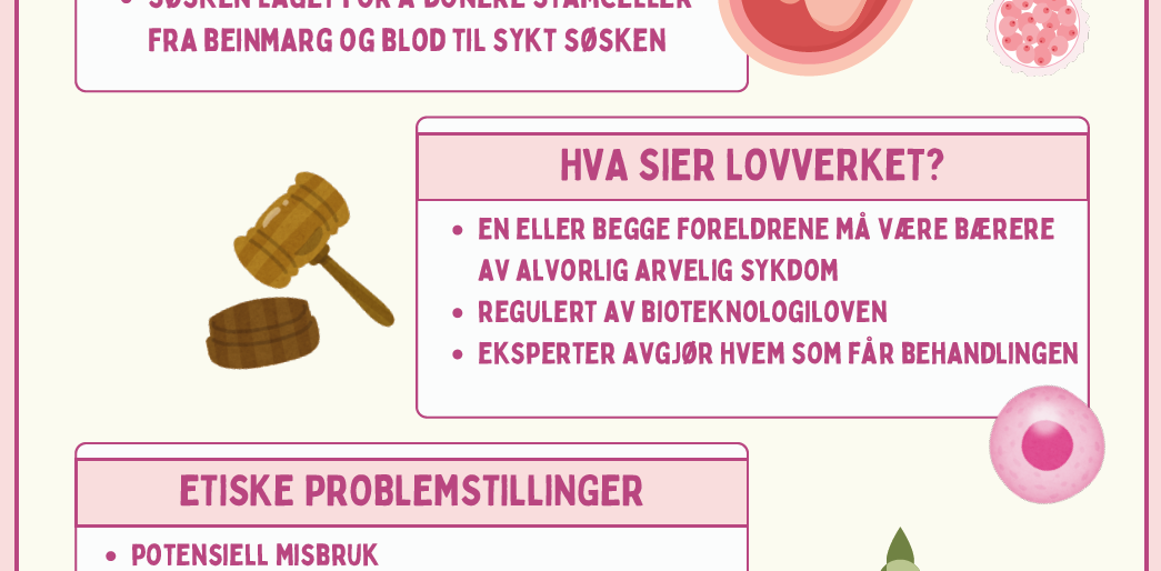 screenshot of the poster entitled REDNINGSSØSKEN