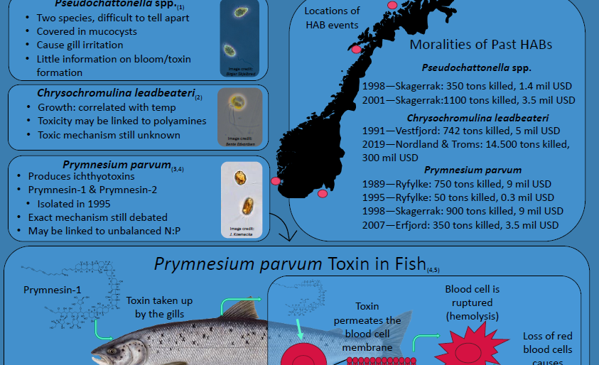 Screenshot of the poster entitled Fishy Business: Harmful algae bloom (HAB) exposure in aquaculture pens