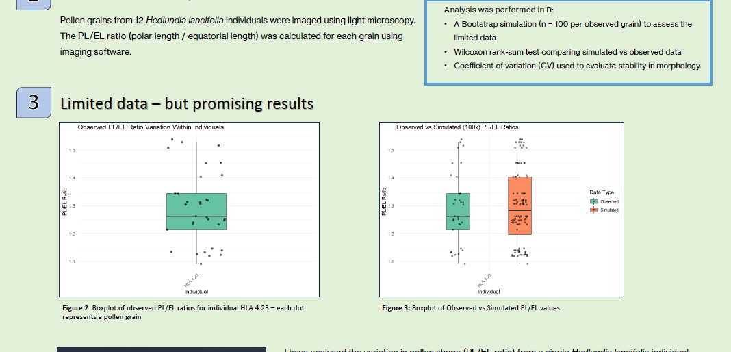 Screenshot of the poster entitled Does Hedlundia lancifolia have a stable pollen morphology?