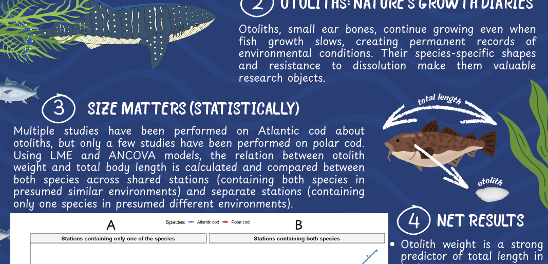screenshot of the poster entitled Tales from Ear Bones - Unraveling Fish Growth through Otolith analysis in Polar and Atlantic Cod