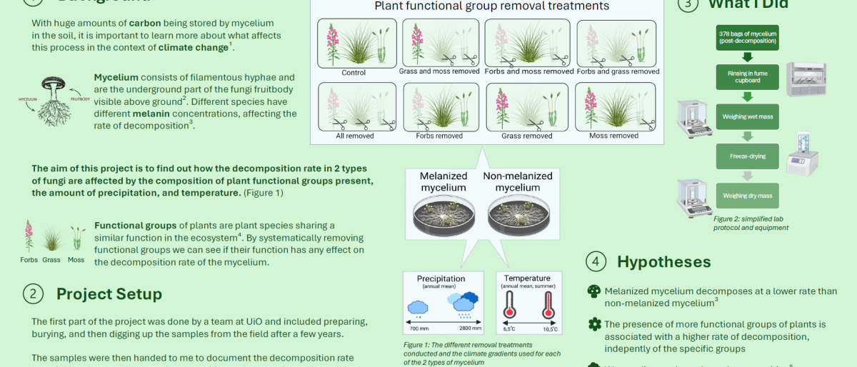 screenshot of the poster entitled Mycelium Decomposition The Effects of Plant Removal Treatments and Climate Gradients