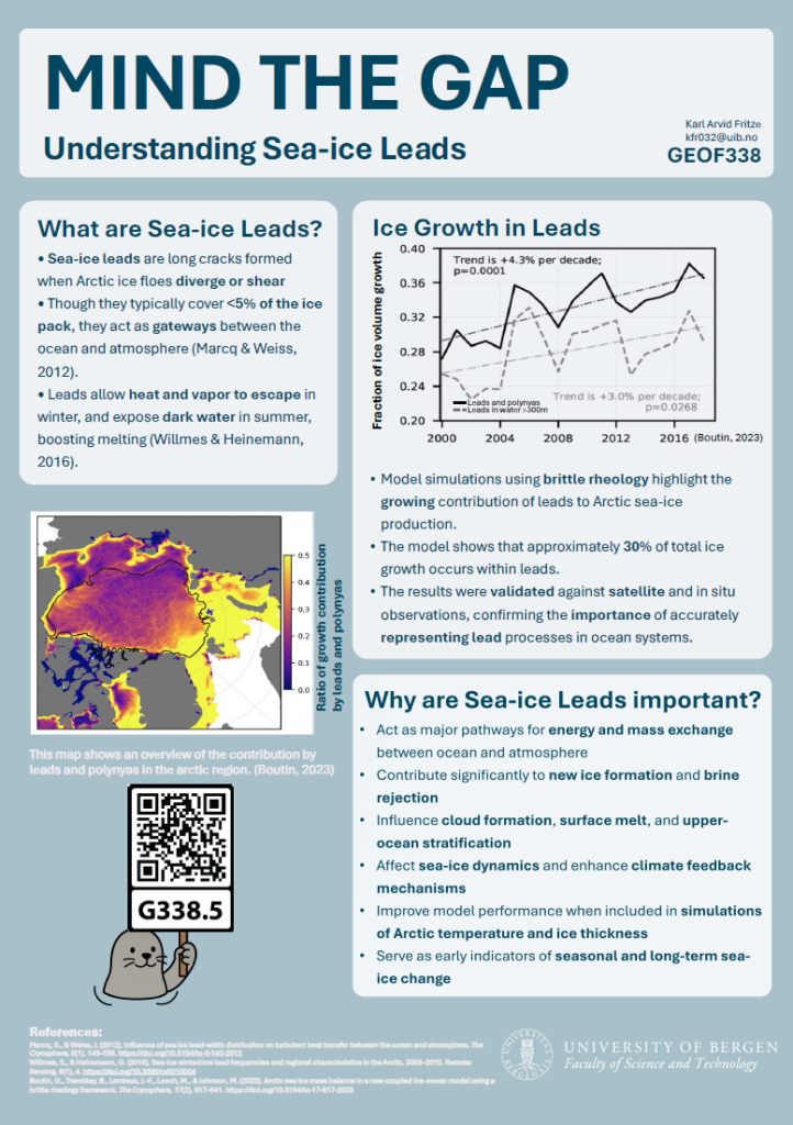 screenshot of the poster entitled MIND THE GAP
Understanding Sea-ice Leads