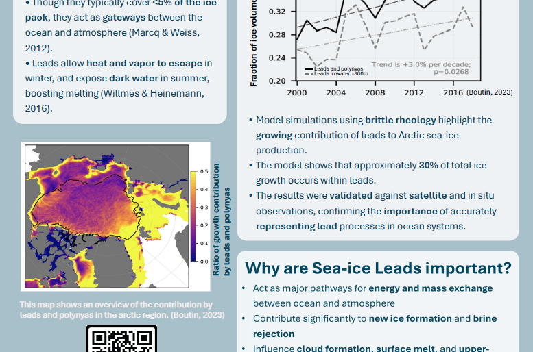 screenshot of the poster entitled MIND THE GAP Understanding Sea-ice Leads
