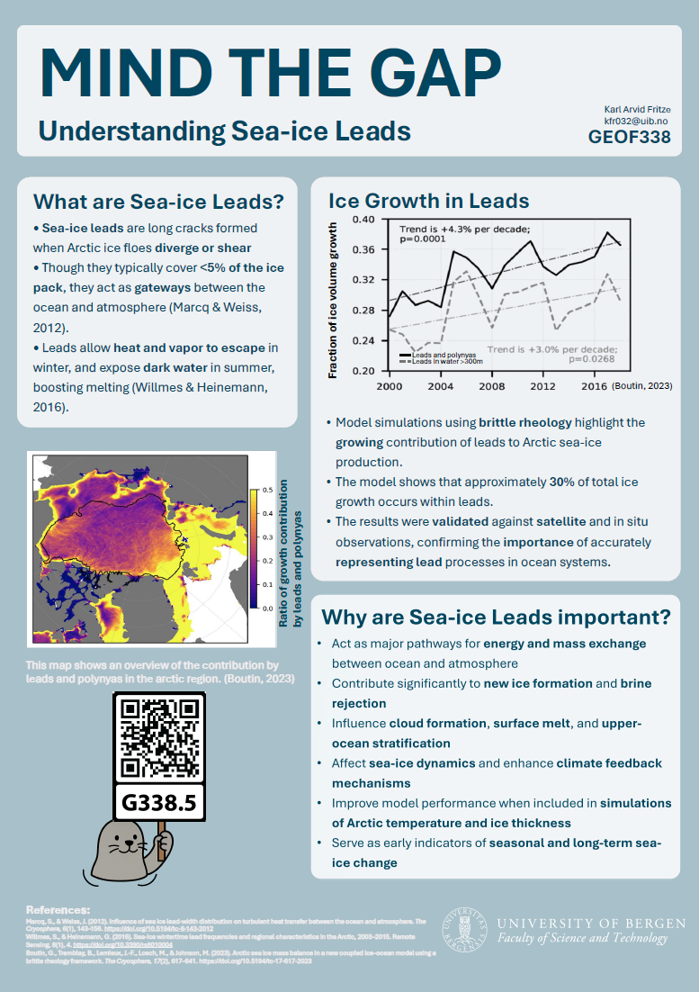 screenshot of the poster entitled MIND THE GAP Understanding Sea-ice Leads