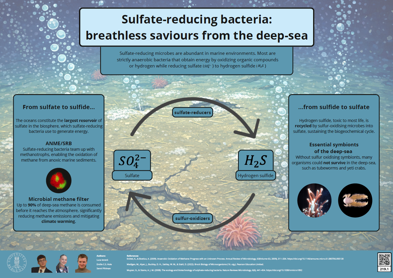 screenshot of the poster entitled Sulfate-reducing bacteria: breathless saviours from the deep-sea