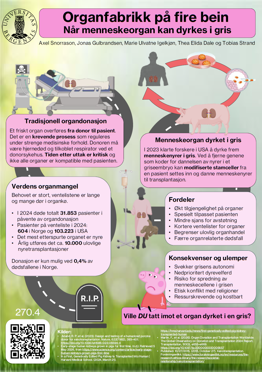 screenshot of the poster entitled Organfabrikk på fire bein Når menneskeorgan kan dyrkes i gris