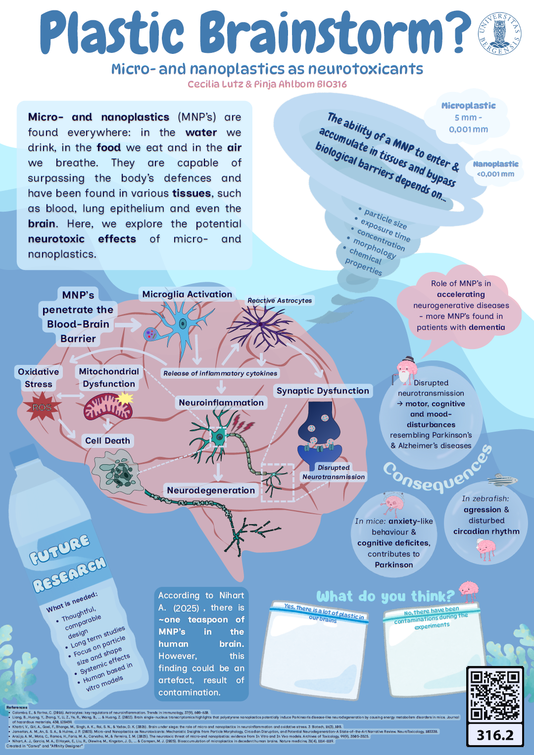 screenshot of the poster entitled Plastic Brainstorm? Micro- and nanoplastics as neurotoxicants