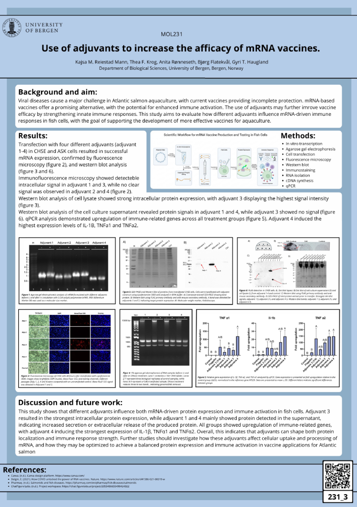 screenshot of the poster entitled Use of adjuvants to increase the afficacy of mRNA vaccines